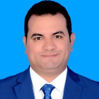 Hany Kamal