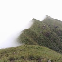 李一峰