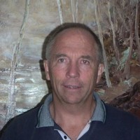 Steve Vine