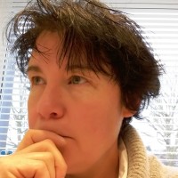 Fabienne Taelemans