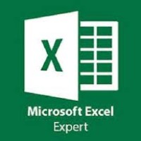 Excel Expert