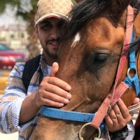قناة العرب