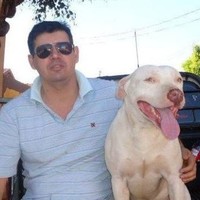 Edgar Ribeiro