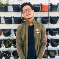 MOHIT V.