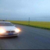王红星