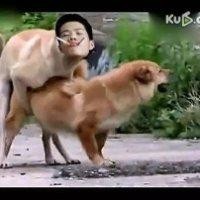莫鹏毅