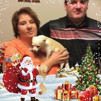 Brian Diane Pearce