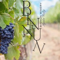 BinNun Winery