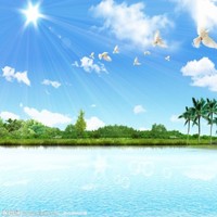 杨泽光