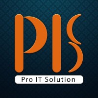 Pro It Solution