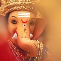 Rahul Dantani