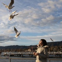 Xueying Li