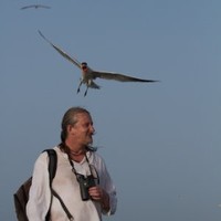 Dr Roy Armstrong