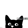 Cat Kotaka