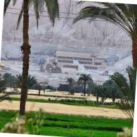 Yasser Helaly