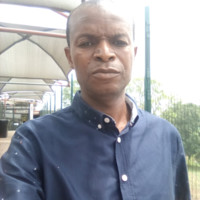 Godwin Mapfudza