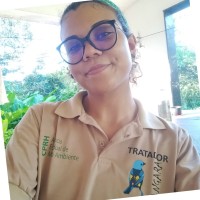 Maria Guimarães