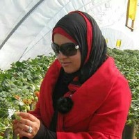 manel nasr