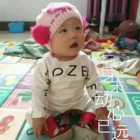 张为波