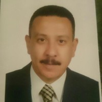 Mohamed Shehata
