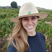 ENZA FIGUEIRA CAZAROTI