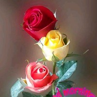 Ashwani Singla