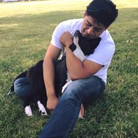 Berenger Constantino