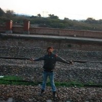 Rajender Kumar