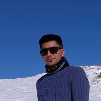 Meisam Heidary