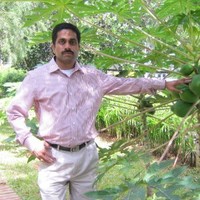 Swamy Guddati