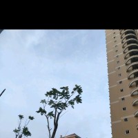 陈明红