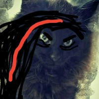The Cat Meow