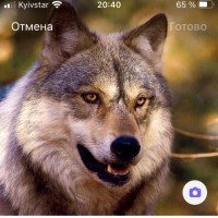 С В. А И.