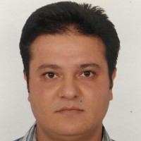 Erkan Telek