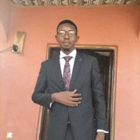 Stephen Adekunle