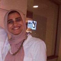 Merna Hanafi