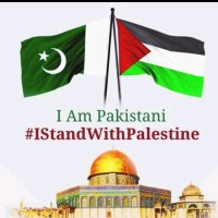 Muhammad Najam ul Hassan