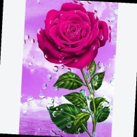 Md Nushad