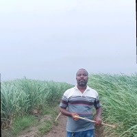 Taha Abdul Mahmoud