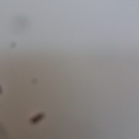 Miguel Ángel gomez saldivar