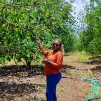 DAZZY KUMBIRAYI MUNYATI