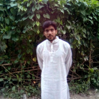 Md. Hasib Uddin