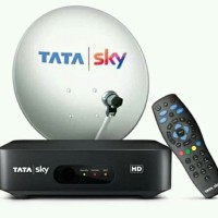 Rohit Dth Service