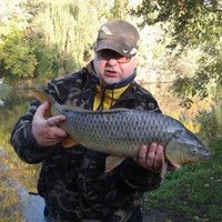 W Jansen