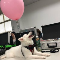 庭妮冉