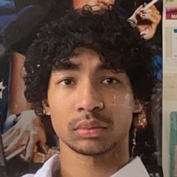 Mitchel Fuljhari