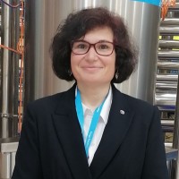 Elisabete M.C. Alexandre