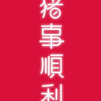 李凯迪