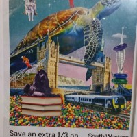 South Western Rail Turtle Poster