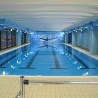 Pavone Vincenzo Piscinaro